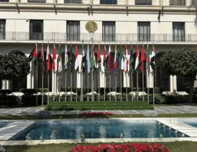 أبو الغيط لـ«الشرق الأوسط»: «قمة الدوحة» رسالة بأن قطر ليست وحدها