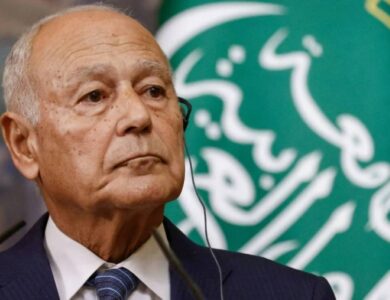 أبو الغيط يرحب باعتماد الجمعية العامة للأمم المتحدة مشروع قرار بشأن حل الدولتين - أخبار السعودية