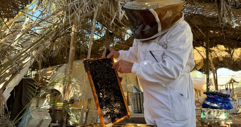 أزمة المياه والجفاف يهددان حياة النحل في البصرة العراقية