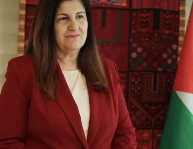 أغابيكيان: الاعتراف بدولة فلسطين رسالة لإسرائيل حول «أوهامهم باستمرار الاحتلال»