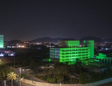 إمارة حائل تكتسي باللون الأخضر في اليوم الوطني الـ95 - أخبار السعودية