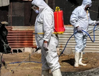 ارتفاع جديد بعدد وفيات الحمى النزفية في العراق... وتحذيرات من عدم الالتزام بالتدابير الوقائية