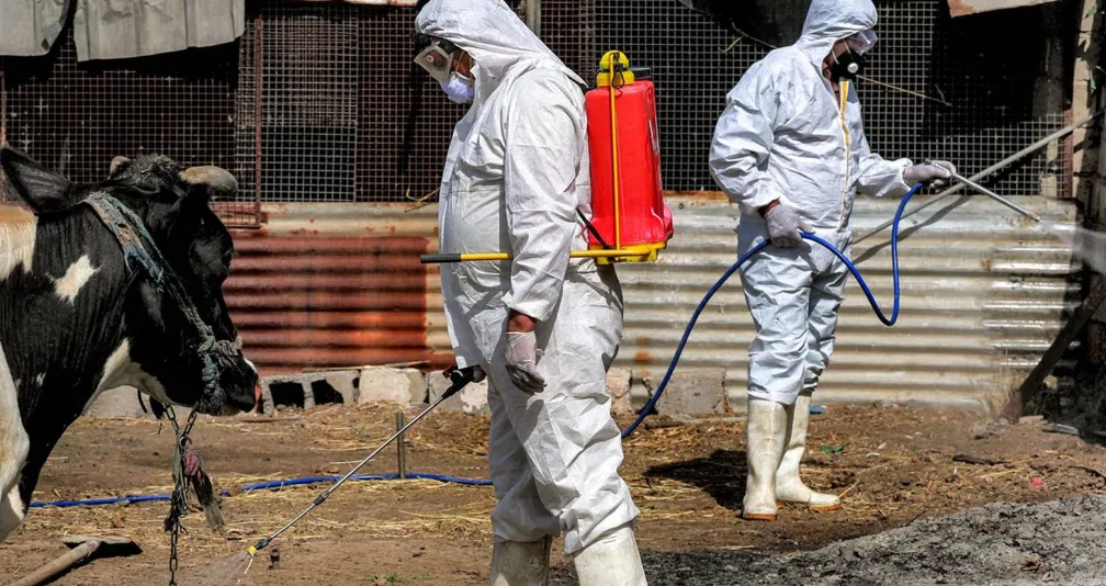 ارتفاع جديد بعدد وفيات الحمى النزفية في العراق... وتحذيرات من عدم الالتزام بالتدابير الوقائية