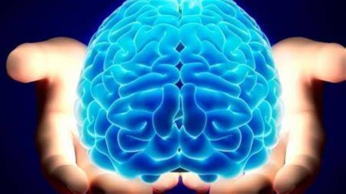 اكتشاف «بروتين مفتاحي» قد يبطئ شيخوخة الدماغ - أخبار السعودية