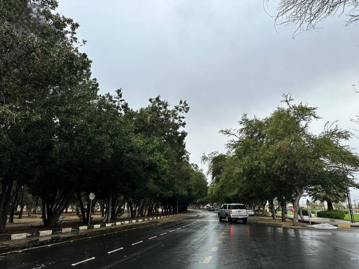 «الأرصاد»: أمطار غزيرة على منطقة نجران - أخبار السعودية