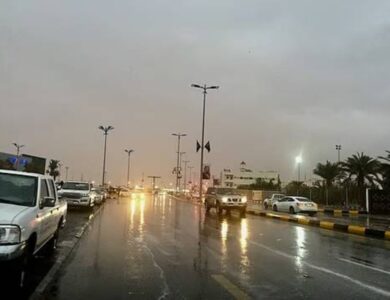 «الأرصاد» ينبّه من تدنٍ في مدى الرؤية الأفقية على سكاكا ودومة الجندل - أخبار السعودية