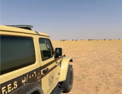 «الأمن البيئي»: ضبط مواطن مخالف لنظام البيئة لارتكابه مخالفة رعي - أخبار السعودية