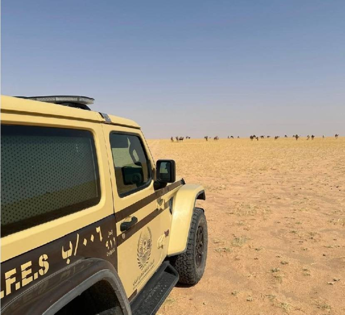 «الأمن البيئي»: ضبط مواطن مخالف لنظام البيئة لارتكابه مخالفة رعي - أخبار السعودية