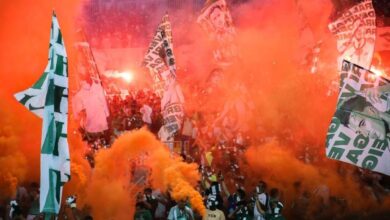 المشجعون المتعصبون.. معرضون للإصابة بـ5 أمراض - أخبار السعودية