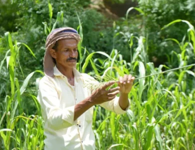 خطة يمنية للحد من مخاطر الكوارث المرتبطة بتغير المناخ