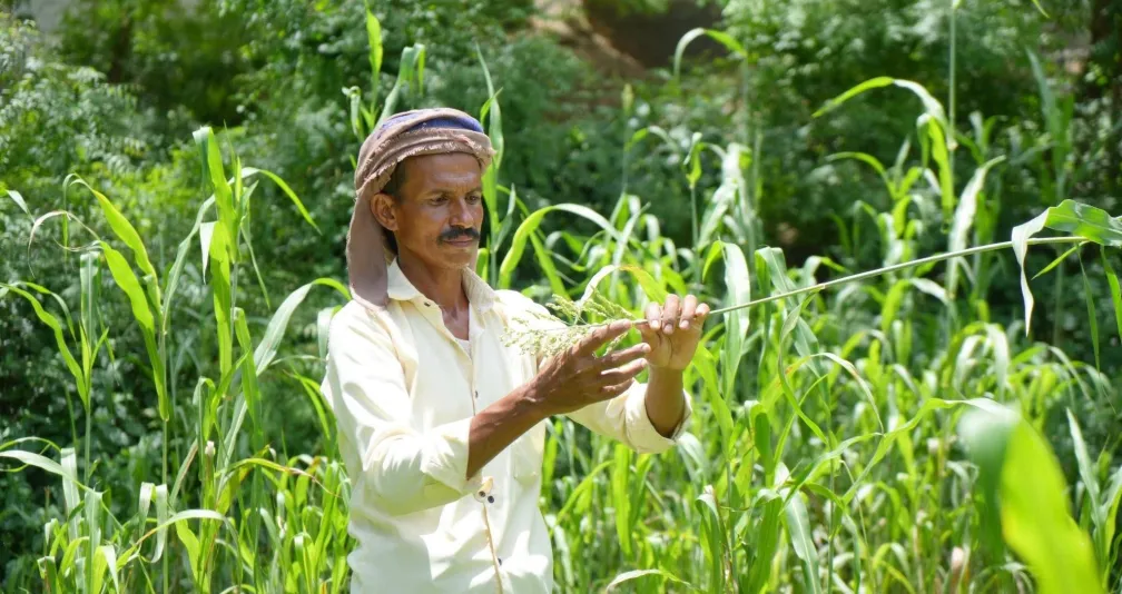 خطة يمنية للحد من مخاطر الكوارث المرتبطة بتغير المناخ