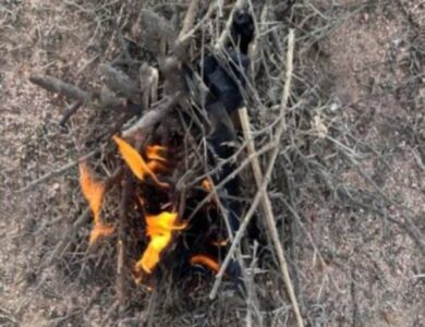 «عسير».. الأمن البيئي يضبط مخالفاً لنظام البيئة بإشعال النار في غير الأماكن المخصصة - أخبار السعودية