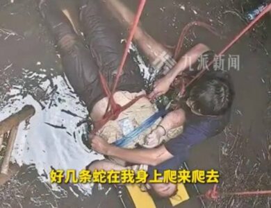 قصة نجاة صينية.. يومان في بئر مظلمة مع لدغات الثعابين - أخبار السعودية