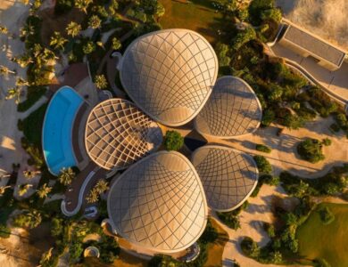 «كورال بلوم» فكرة تجسّدت واقعاً مبهراً لرؤية ولي العهد - أخبار السعودية