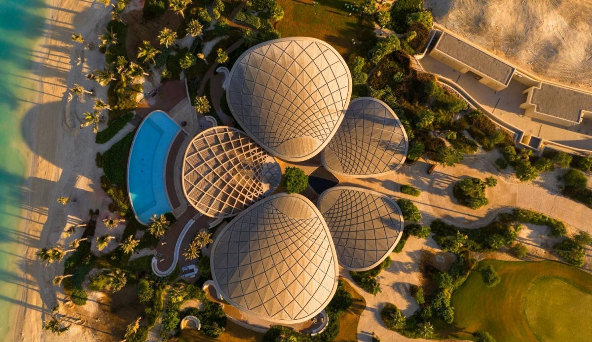 «كورال بلوم» فكرة تجسّدت واقعاً مبهراً لرؤية ولي العهد - أخبار السعودية