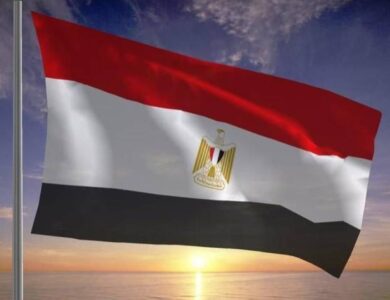 مصر ترحب باعتماد الجمعية العامة للأمم المتحدة «إعلان نيويورك» بشأن تنفيذ حل الدولتين - أخبار السعودية