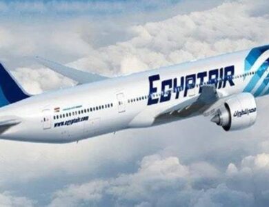 مصر تعلن تأثرها بالهجوم السيبراني على مطارات أوروبا - أخبار السعودية