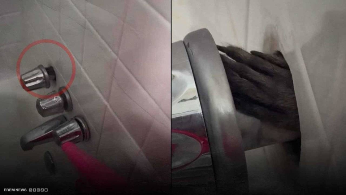 يد تفاجئ سائحاً خلف صنبور حمّام فندق ! - أخبار السعودية