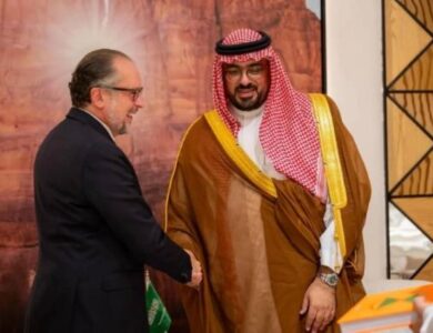 الإبراهيم يناقش التطورات الاقتصادية العالمية مع النمسا وبلغاريا - أخبار السعودية