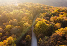 “علّي صوتك”.. الفن في مواجهة الفقر والمشكلات الاجتماعية