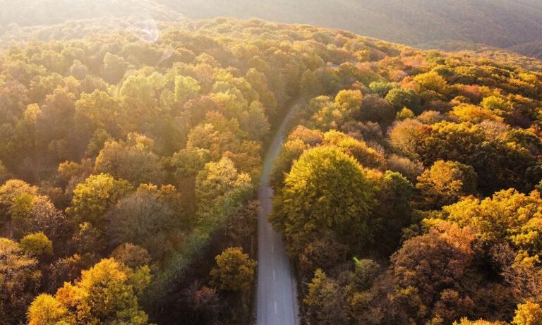 بعد الاتصال “الصعب”.. بوتن يوجه اتهاما لأوكرانيا